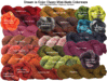 Dream in Color, MINI SKEIN - Classy, Kettle Dyed Pomagrenade